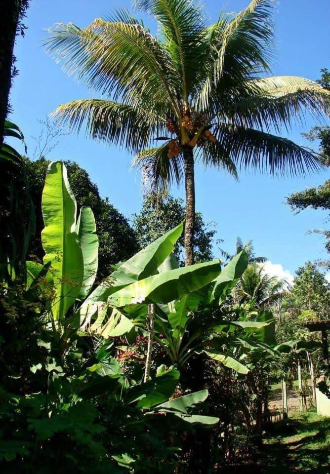 Pousada Villa Da Gama Araquari Kamer foto