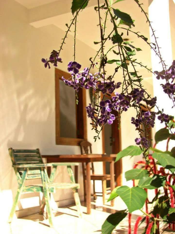 Pousada Villa Da Gama Araquari Kamer foto