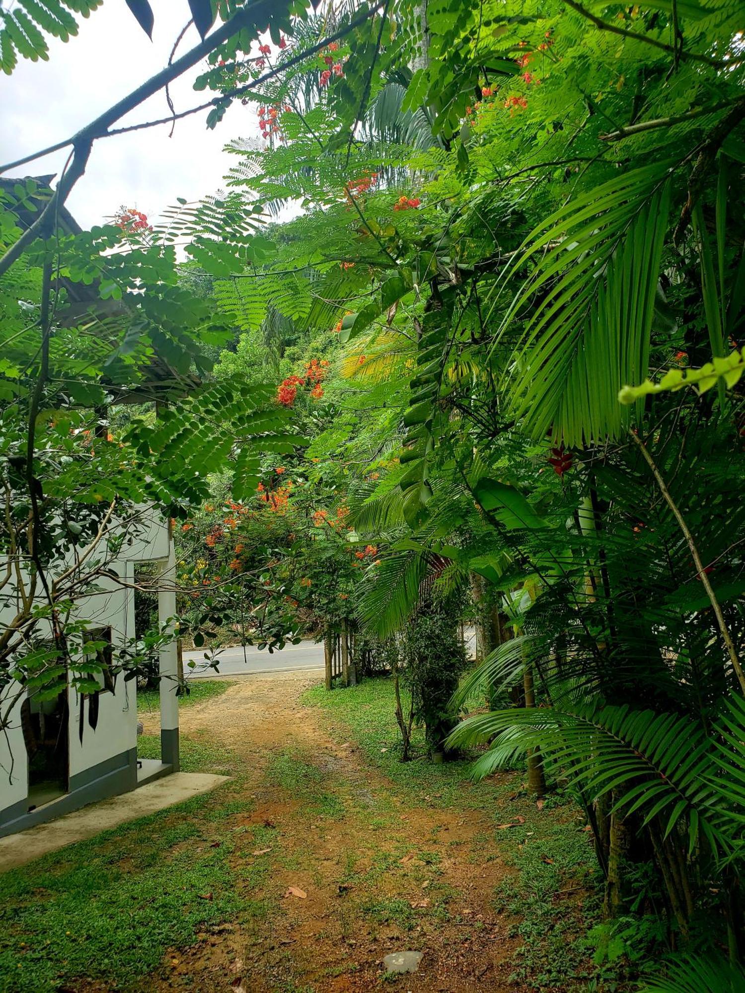 Pousada Villa Da Gama Araquari Kamer foto